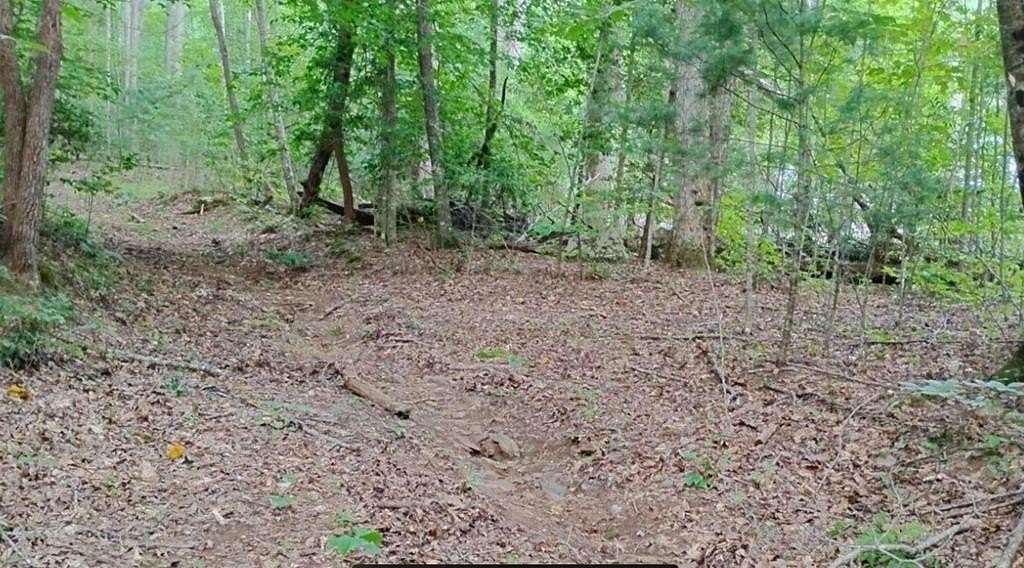 0.89 Acres of Land for Sale in Hiawassee, Georgia