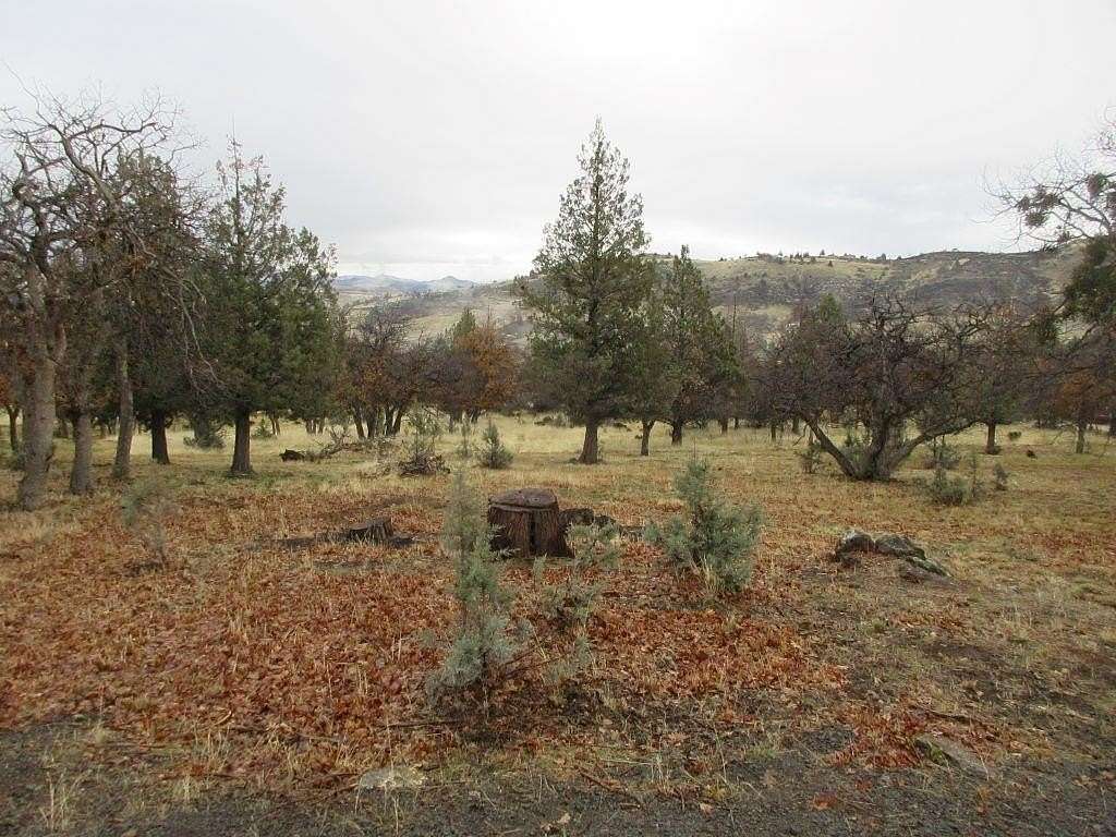 1 Acre of Residential Land for Sale in Hornbrook, California