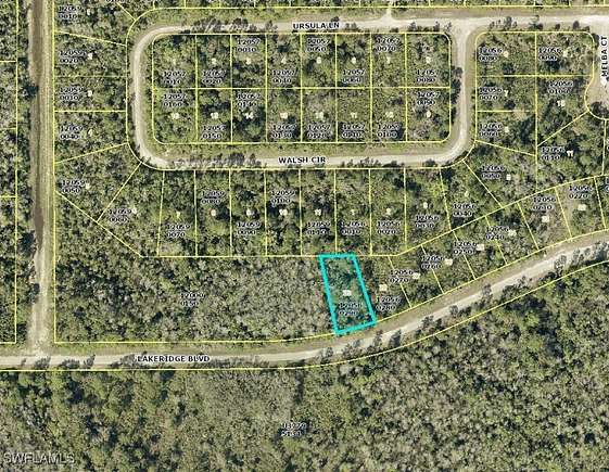 0.324 Acres of Residential Land for Sale in Lehigh Acres, Florida