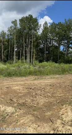 2.69 Acres of Land for Sale in Terry, Mississippi