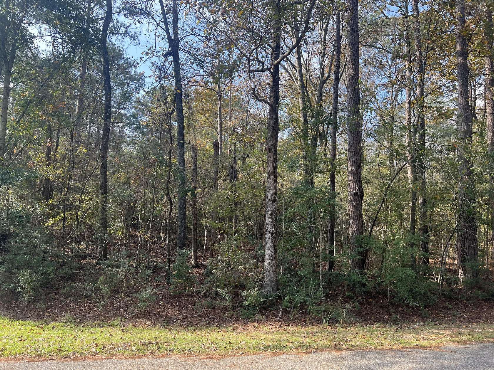 0.713 Acres of Residential Land for Sale in Lumberton, Mississippi