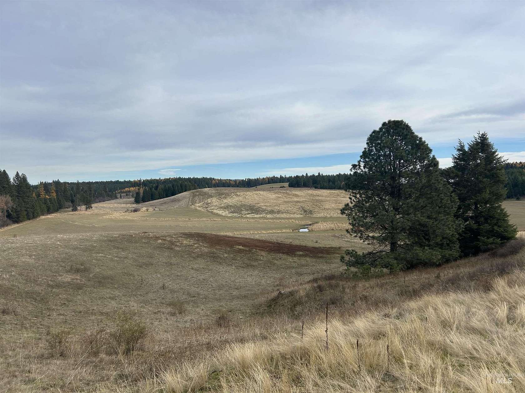 7.45 Acres of Land for Sale in Weippe, Idaho