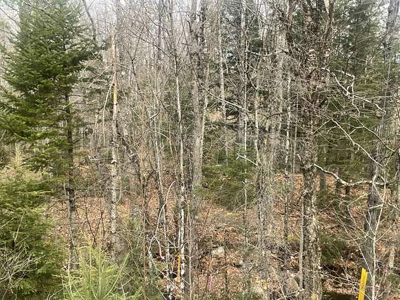 17 Acres of Land for Sale in Roxbury, Maine