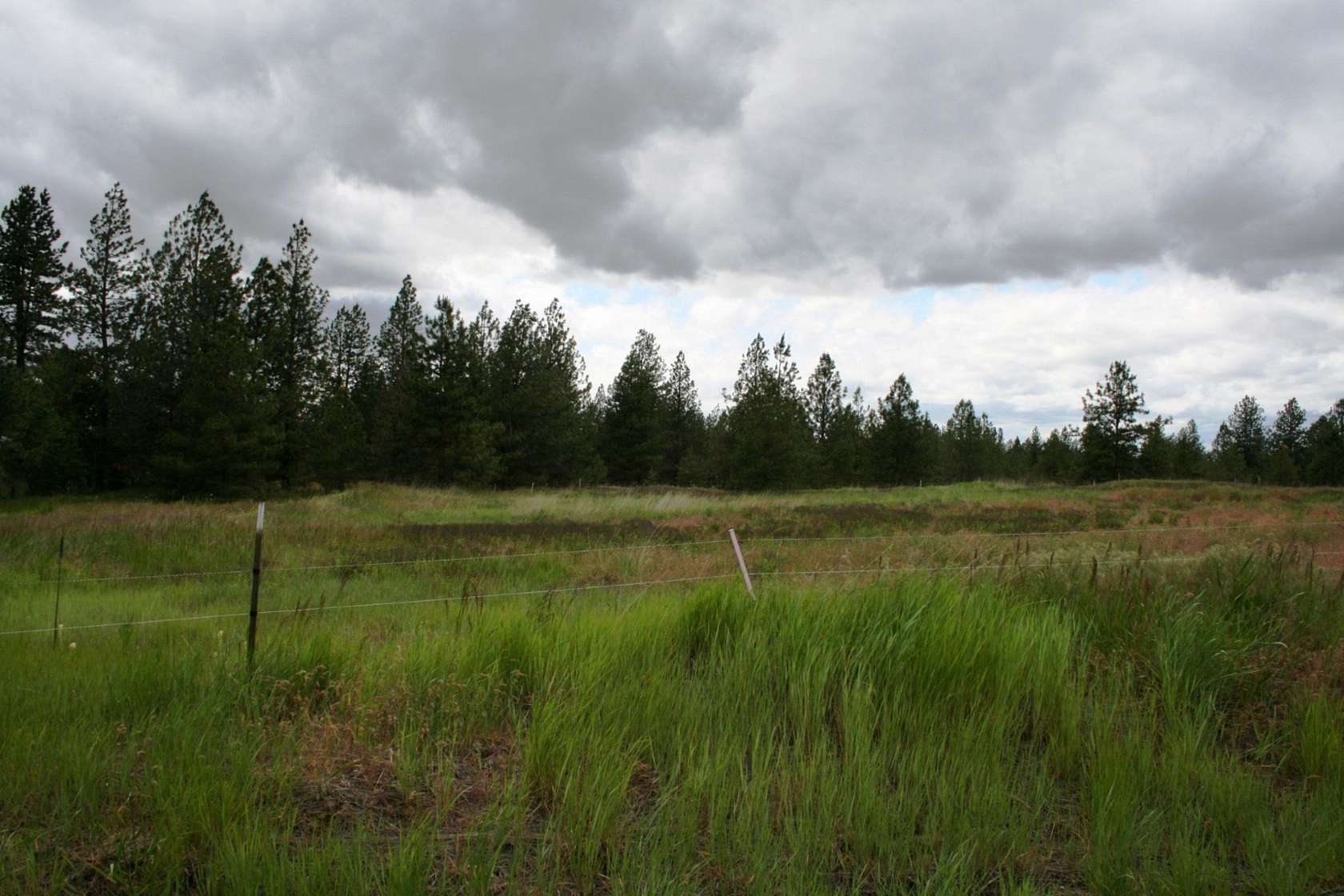 18.2 Acres of Agricultural Land for Sale in Nine Mile Falls, Washington