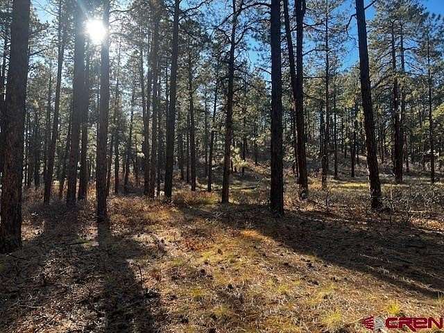 4.1 Acres of Residential Land for Sale in Bayfield, Colorado