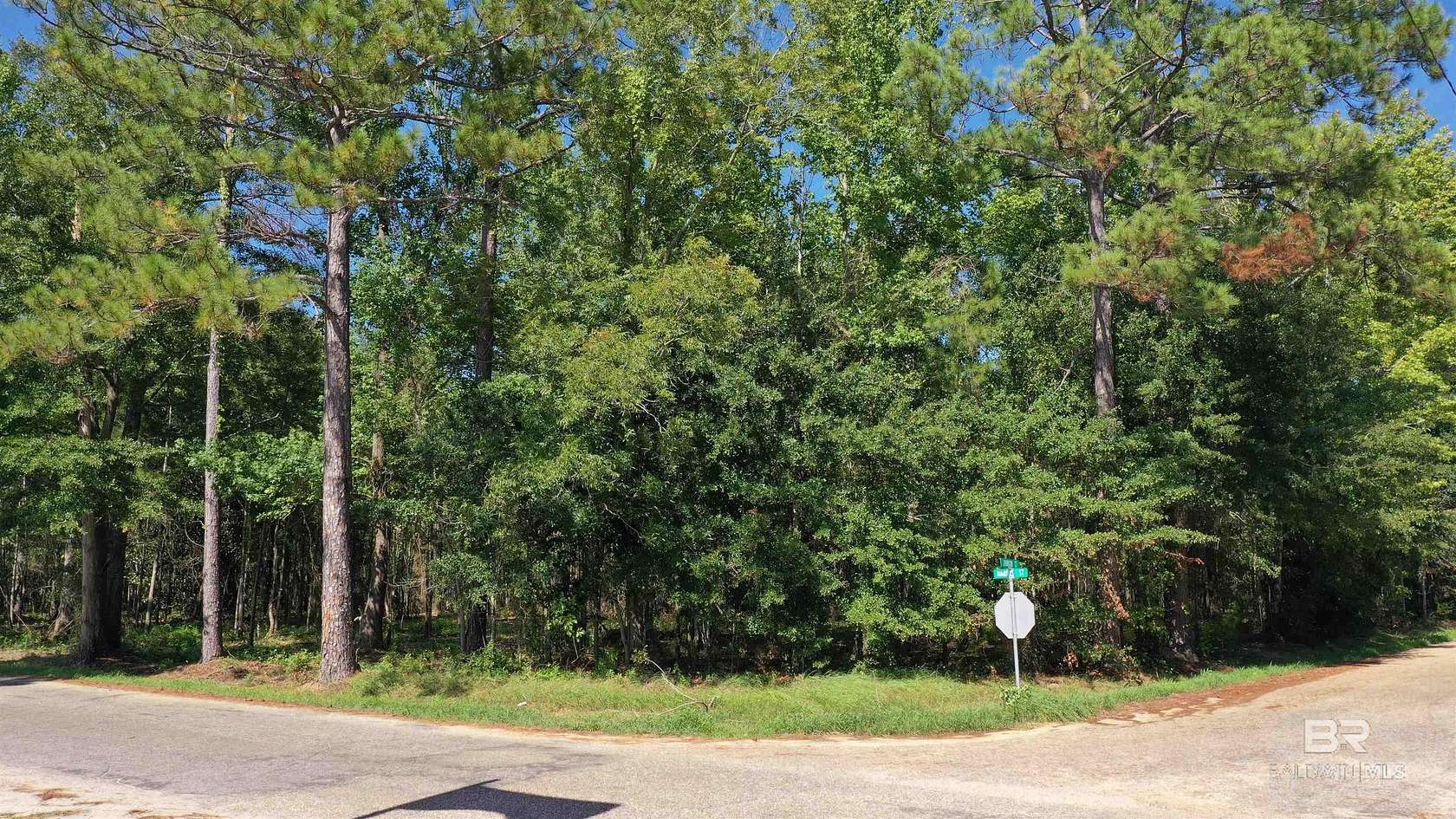 6.55 Acres of Land for Sale in Atmore, Alabama