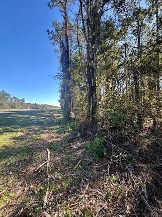 1.77 Acres of Commercial Land for Sale in Cross City, Florida