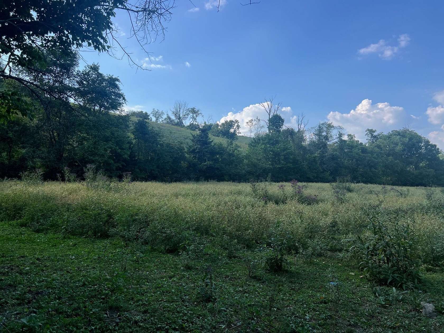 7.5 Acres of Land for Sale in Lancaster, Kentucky