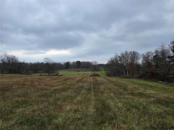 74.15 Acres of Recreational Land & Farm for Sale in Raymondville, Missouri