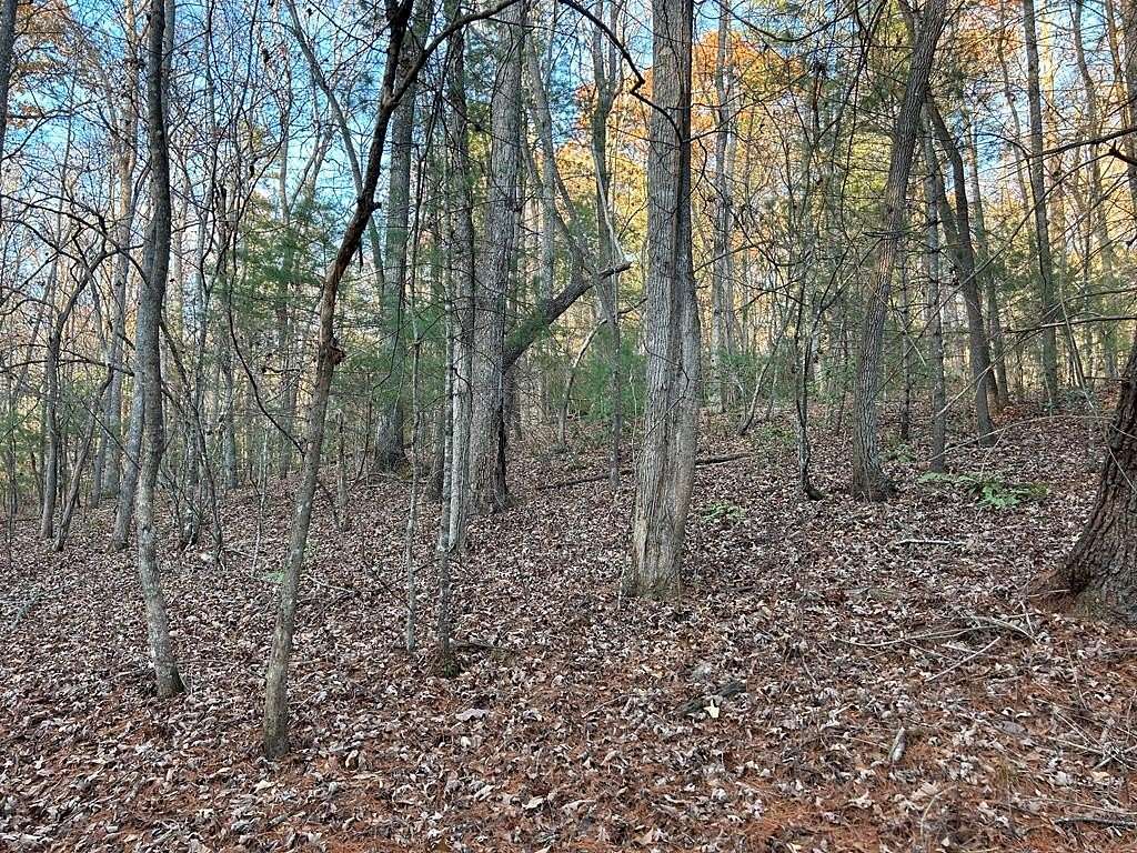 1.04 Acres of Land for Sale in Blairsville, Georgia