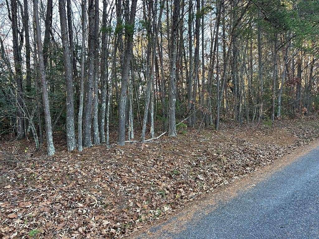 0.57 Acres of Land for Sale in Blairsville, Georgia