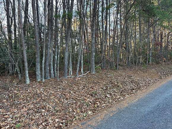 0.57 Acres of Land for Sale in Blairsville, Georgia