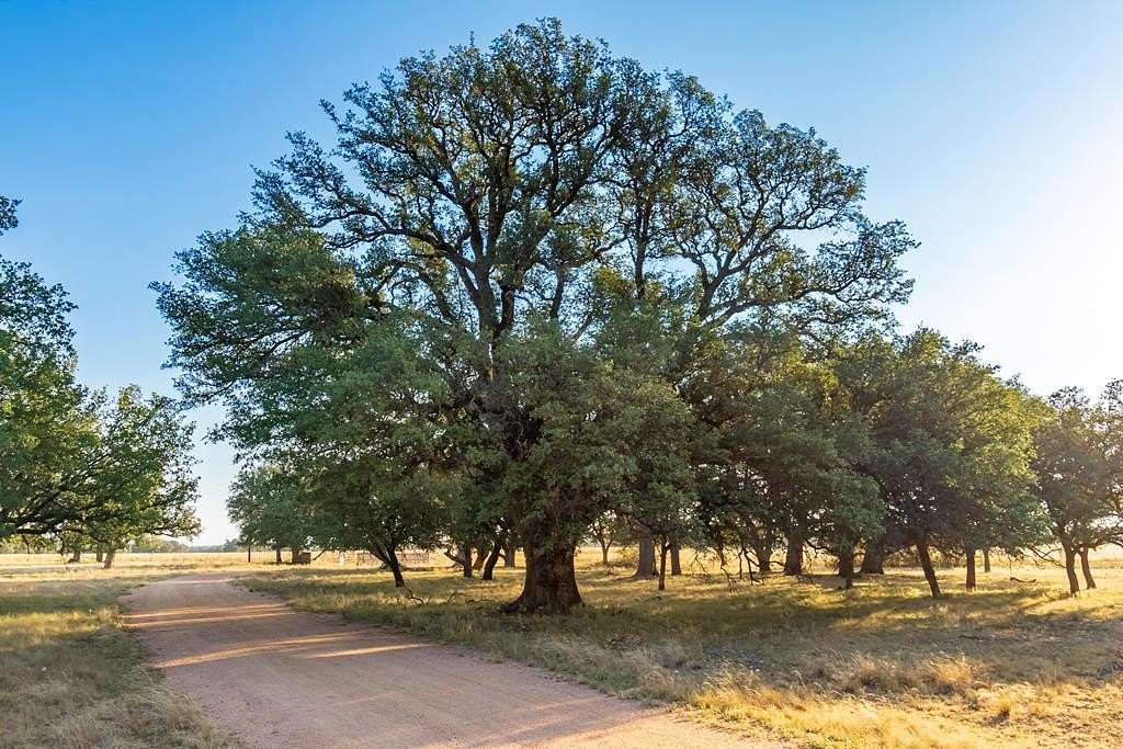 657 Acres of Recreational Land & Farm for Sale in Eden, Texas