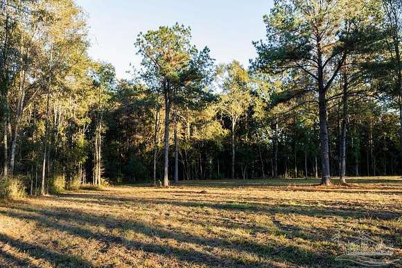 10.03 Acres of Land for Sale in Jay, Florida