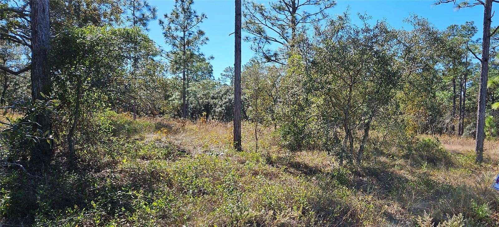 1.98 Acres of Residential Land for Sale in Dunnellon, Florida