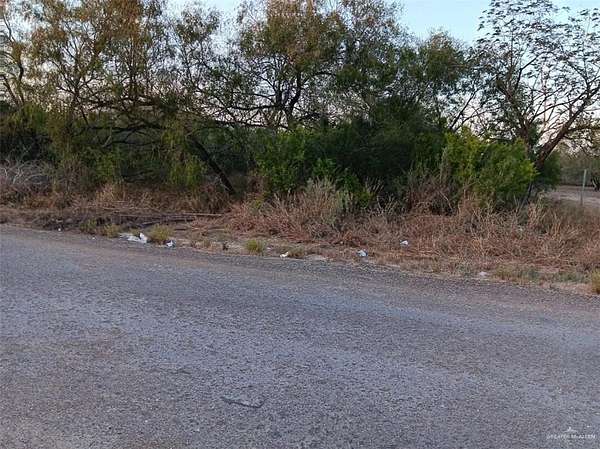 1 Acre of Land for Sale in Edcouch, Texas