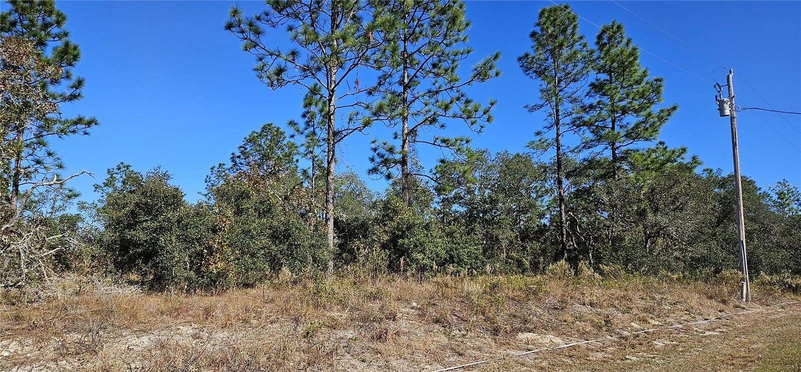 0.99 Acres of Residential Land for Sale in Dunnellon, Florida