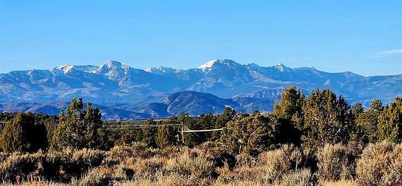 11.75 Acres of Land for Sale in Ignacio, Colorado