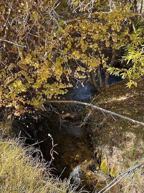 10 Acres of Land for Sale in Dyer, Nevada