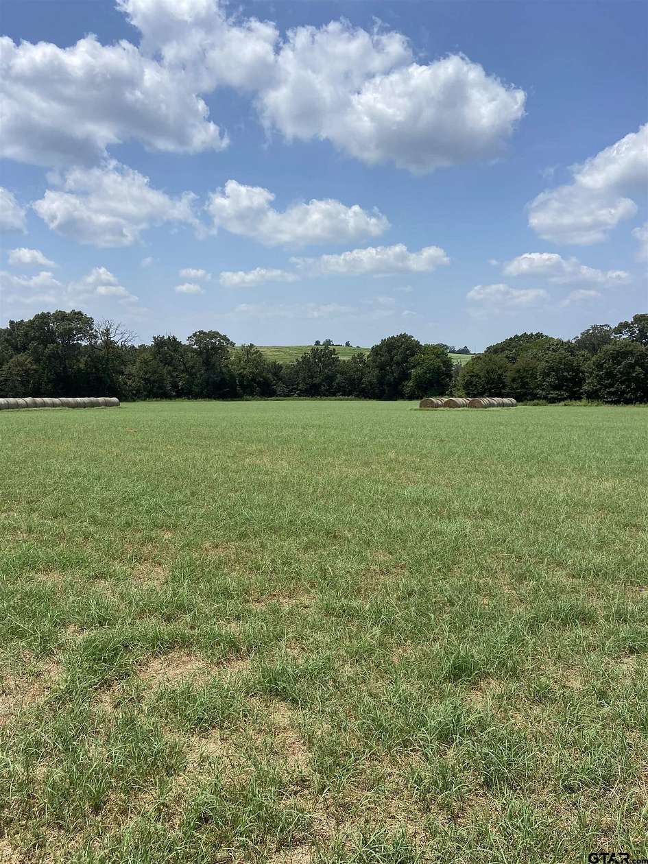 25 Acres of Land for Sale in Montalba, Texas