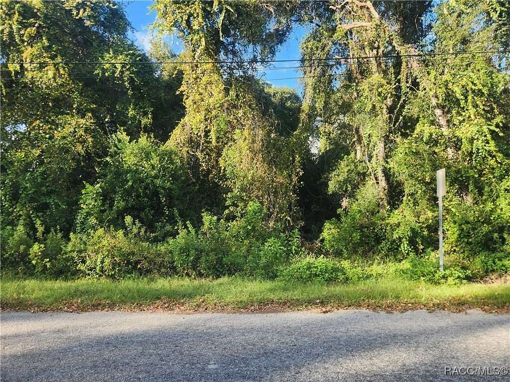 0.22 Acres of Residential Land for Sale in Inverness, Florida