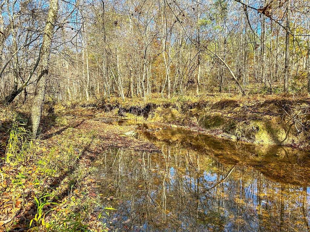 30 Acres of Recreational Land & Farm for Sale in Nelson, Virginia