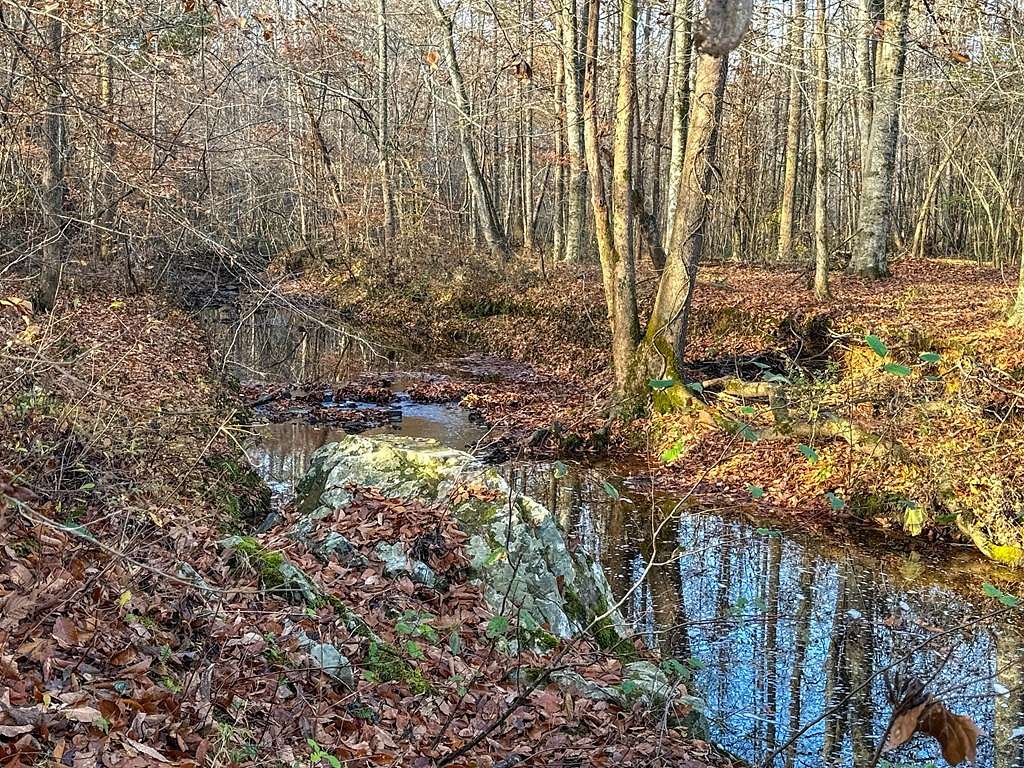 17 Acres of Land for Sale in Nelson, Virginia - LandSearch