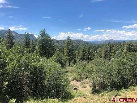 3 Acres of Residential Land for Sale in Pagosa Springs, Colorado