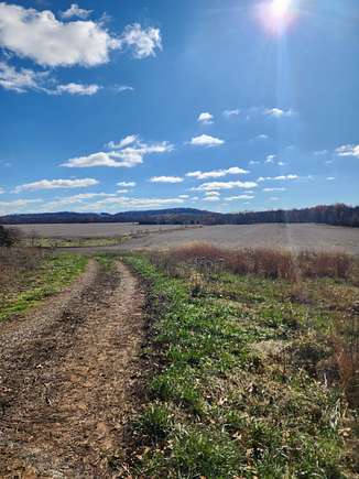 318 Acres of Recreational Land & Farm for Sale in Nelson, Missouri