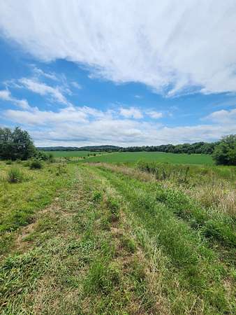 318 Acres of Recreational Land & Farm for Sale in Nelson, Missouri