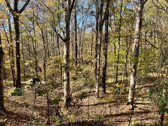 201.6 Acres of Recreational Land for Sale in Askew, Mississippi