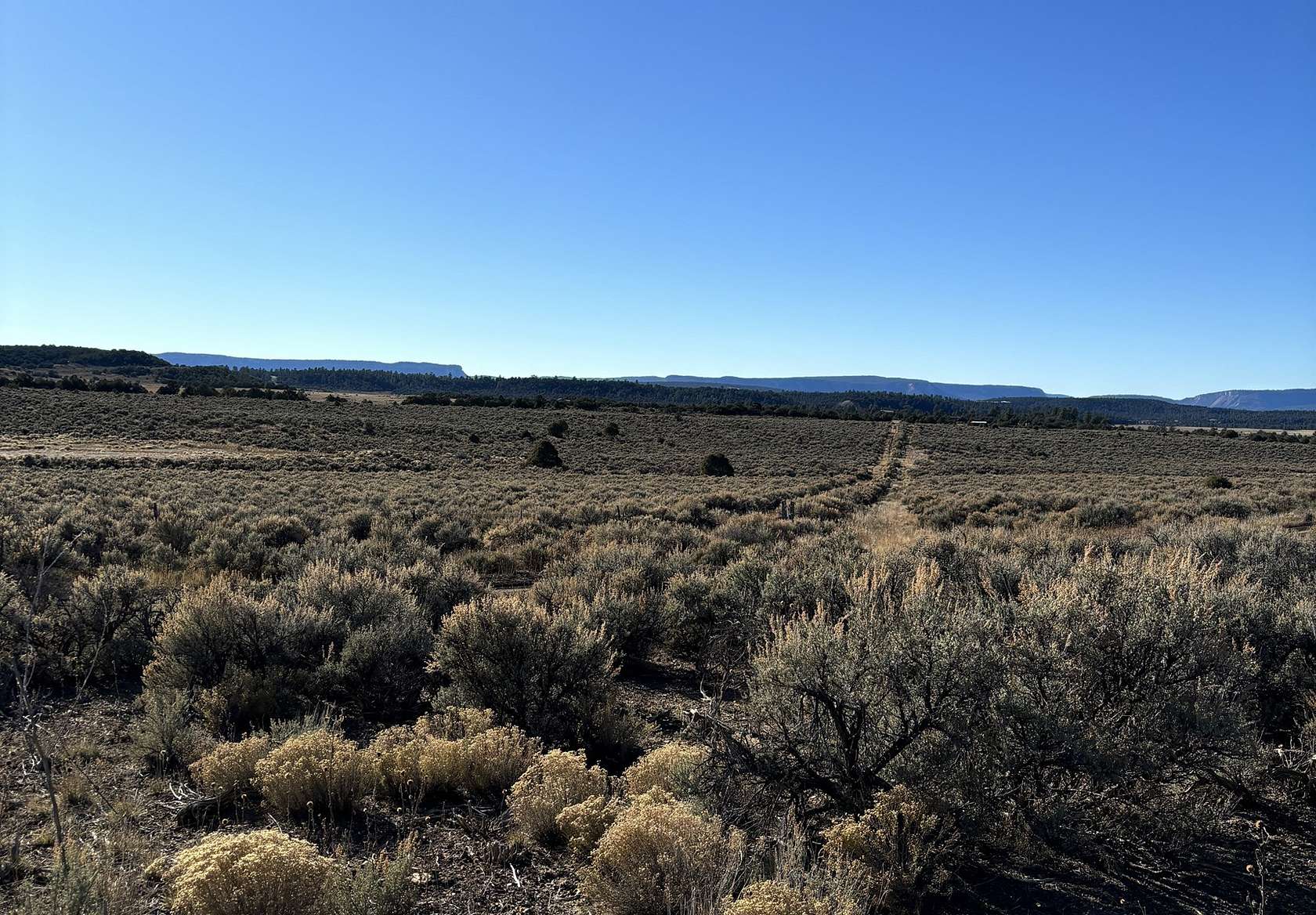 5.54 Acres of Land for Sale in Tierra Amarilla, New Mexico