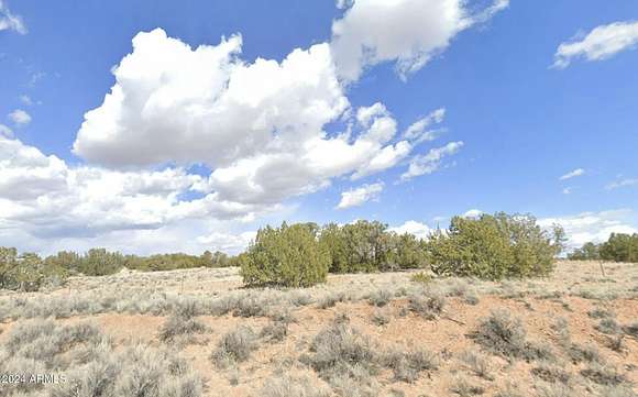 39.19 Acres of Agricultural Land for Sale in St. Johns, Arizona