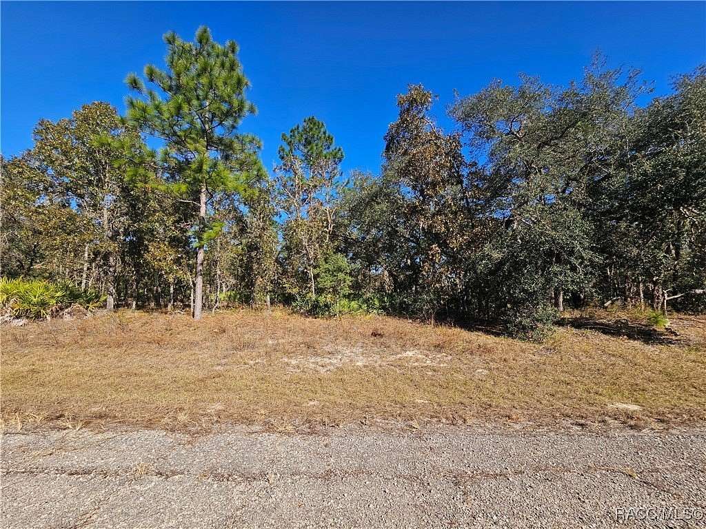 0.23 Acres of Land for Sale in Dunnellon, Florida