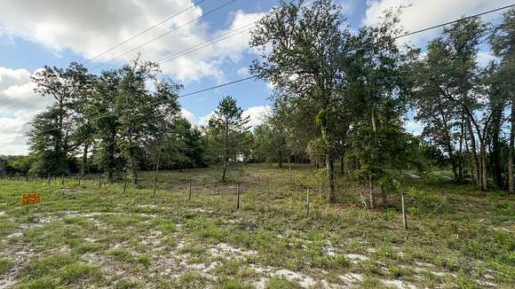 Fenced Frontage