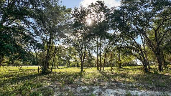 36.8 Acres of Land for Sale in Bell, Florida