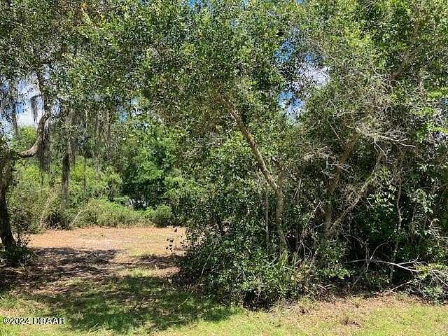 0.58 Acres of Residential Land for Sale in Salt Springs, Florida