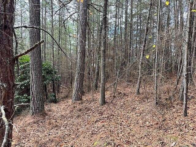 0.92 Acres of Residential Land for Sale in Turtletown, Tennessee