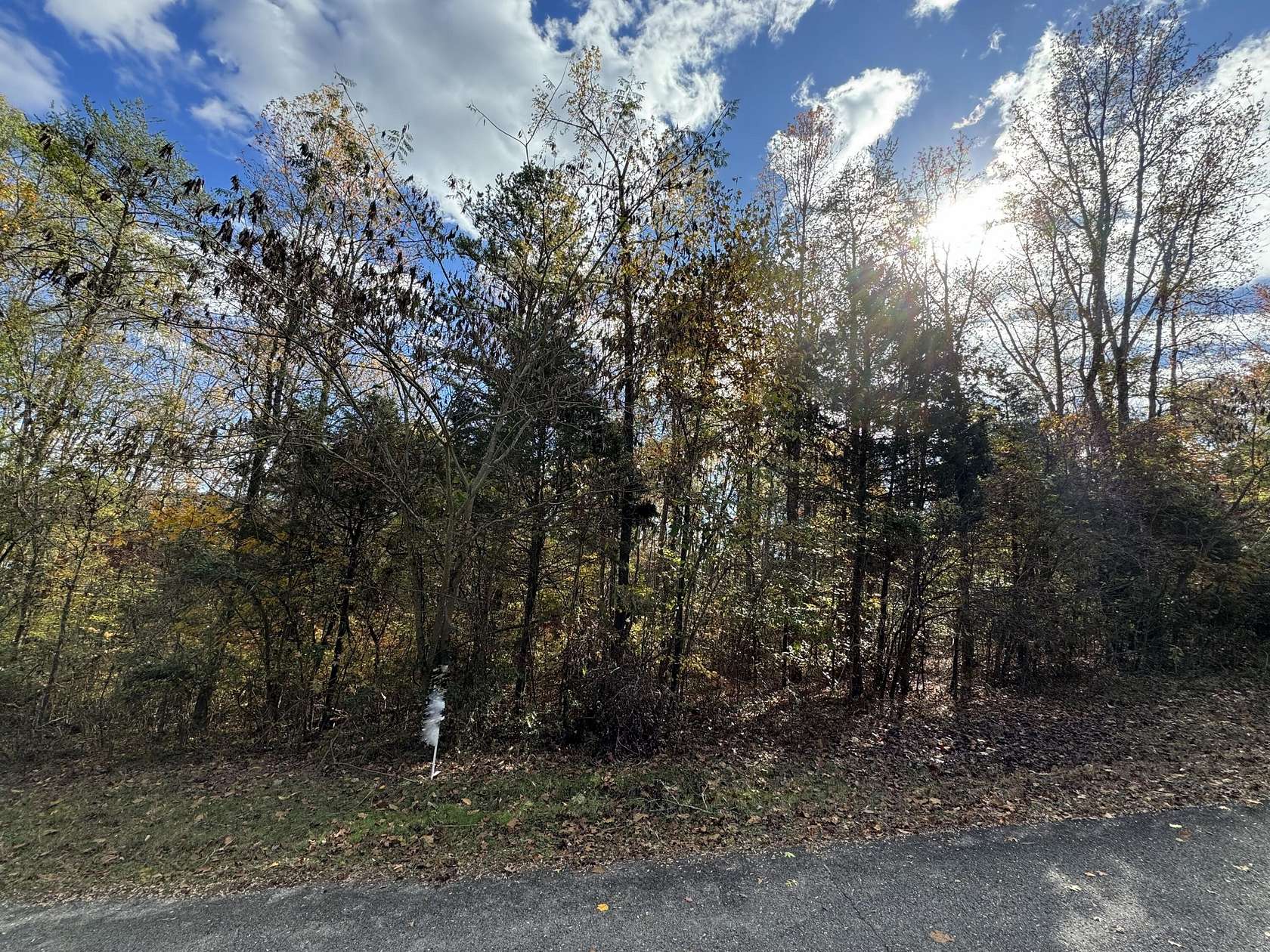 0.9 Acres of Residential Land for Sale in Decatur, Tennessee