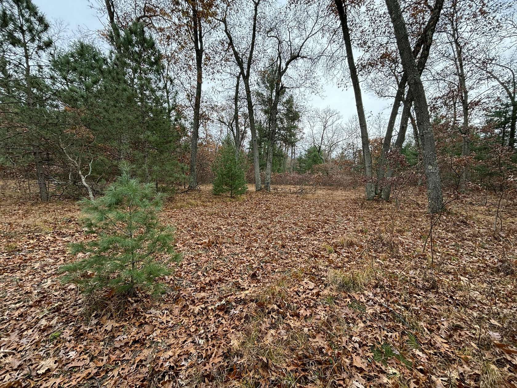 80 Acres of Land for Sale in Twin Lake, Michigan