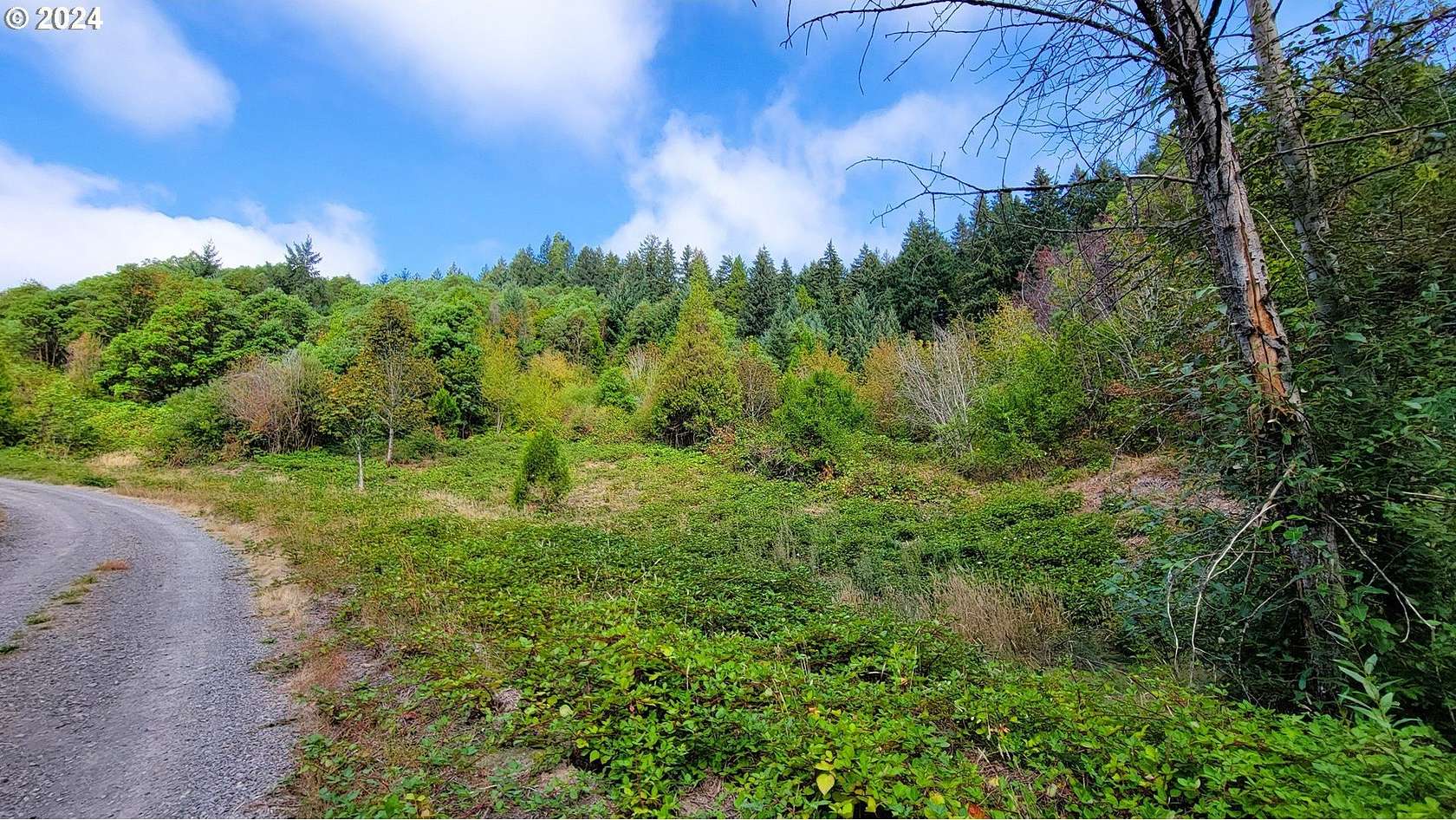 4.67 Acres of Residential Land for Sale in Oakridge, Oregon