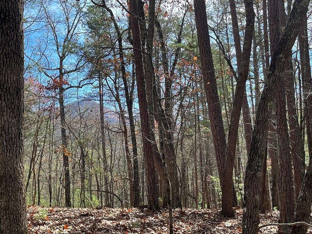 8.98 Acres of Residential Land for Sale in Morganton, Georgia