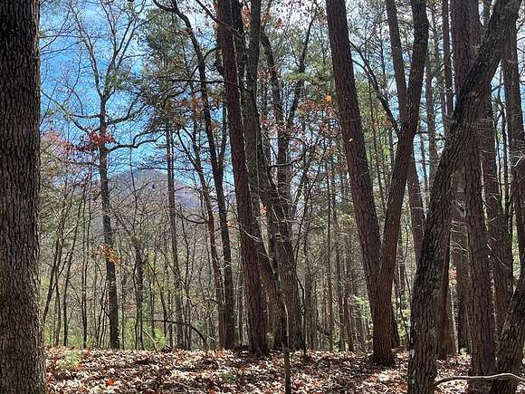 8.98 Acres of Residential Land for Sale in Morganton, Georgia