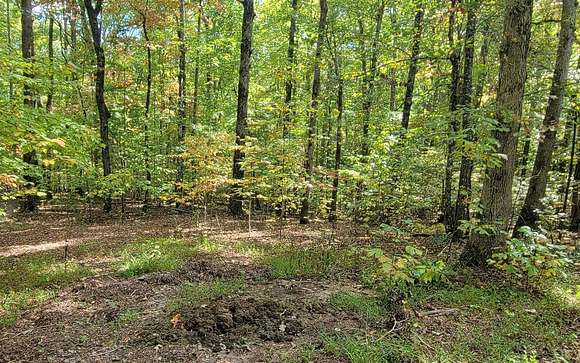 0.97 Acres of Residential Land for Sale in Hayesville, North Carolina