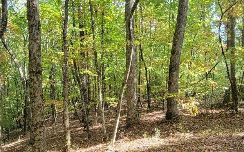 1.82 Acres of Residential Land for Sale in Hayesville, North Carolina