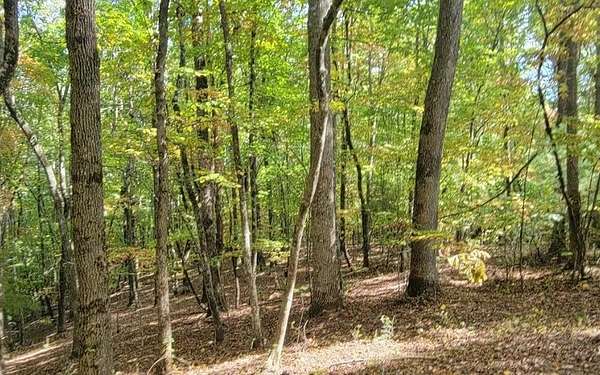 1.82 Acres of Residential Land for Sale in Hayesville, North Carolina