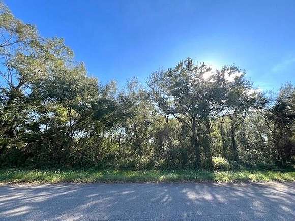 1 Acre of Residential Land for Sale in Okeechobee, Florida