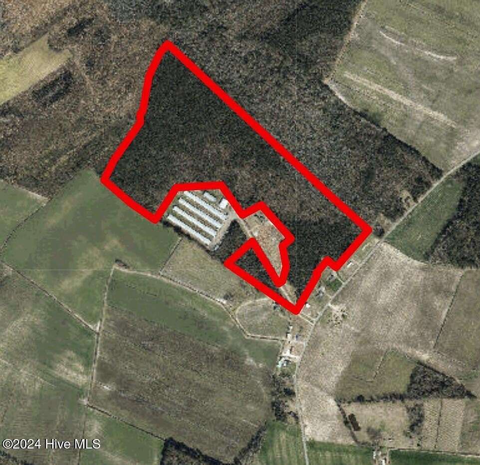 60.03 Acres of Recreational Land for Sale in Tyner, North Carolina