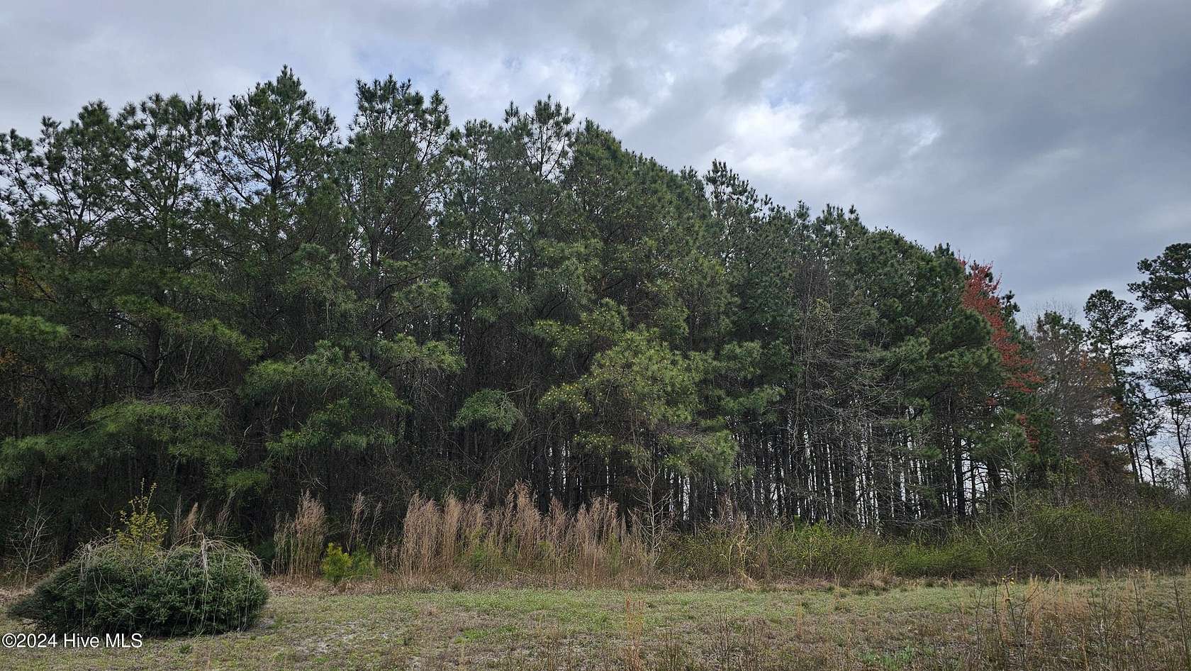 57 Acres of Land for Sale in Tyner, North Carolina