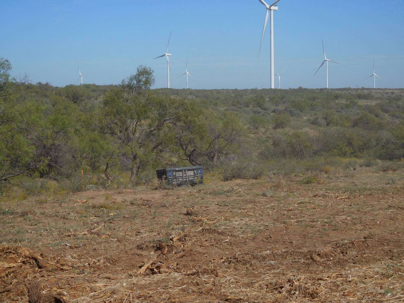 331.3 Acres of Recreational Land for Sale in Roby, Texas